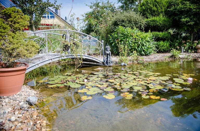 Teichtechnik das A & O für einen schönen Teich Hagedorn Gartenbau