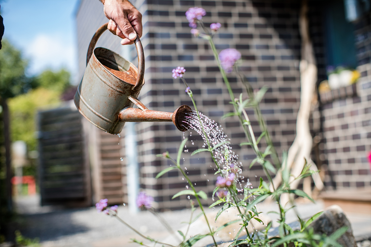 Gartenbewässerung